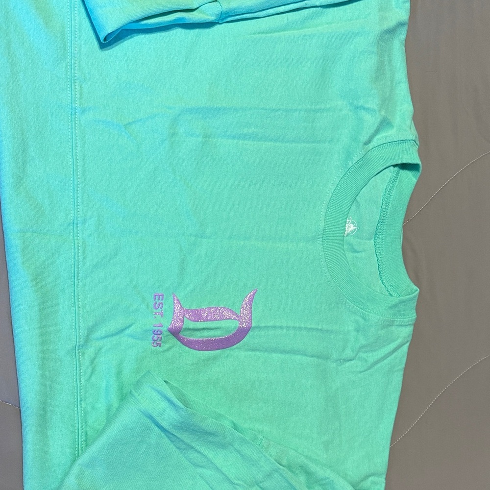 Disneyland Spirit Jersey, Teal & Purple NWT